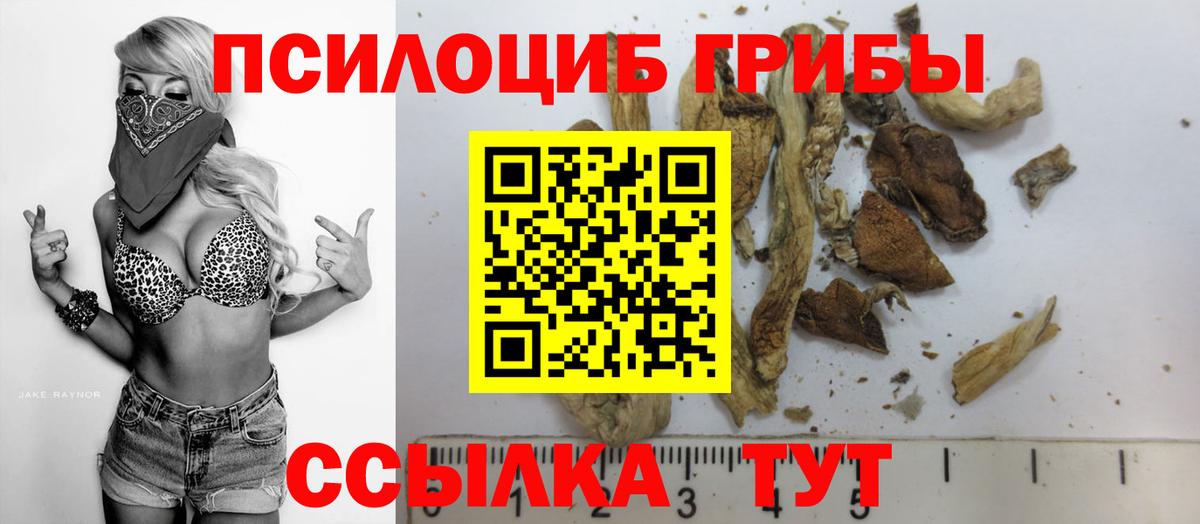 Псилоцибиновые грибы Psilocybine cubensis  Вход с VPN  Псилоцибиновые грибы GOLDEN TEACHER  Дмитров 
