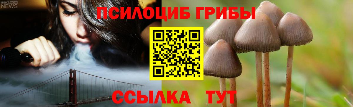 Галлюциногенные грибы MAGIC MUSHROOMS Дмитров